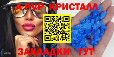 стафф Славгород