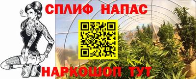 бошки Ставрополь