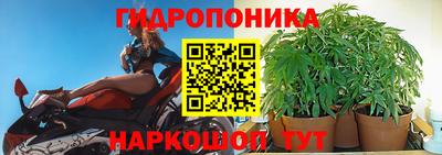 бошки Ставрополь
