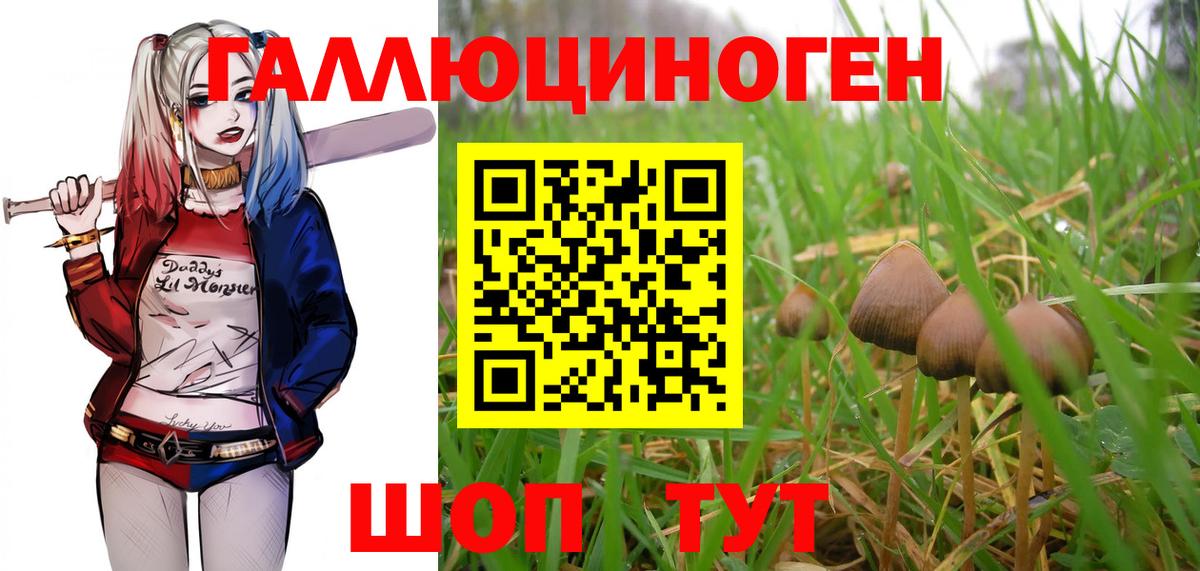 Ахтубинск  купить закладку  Вход с VPN  Галлюциногенные грибы прущие грибы 